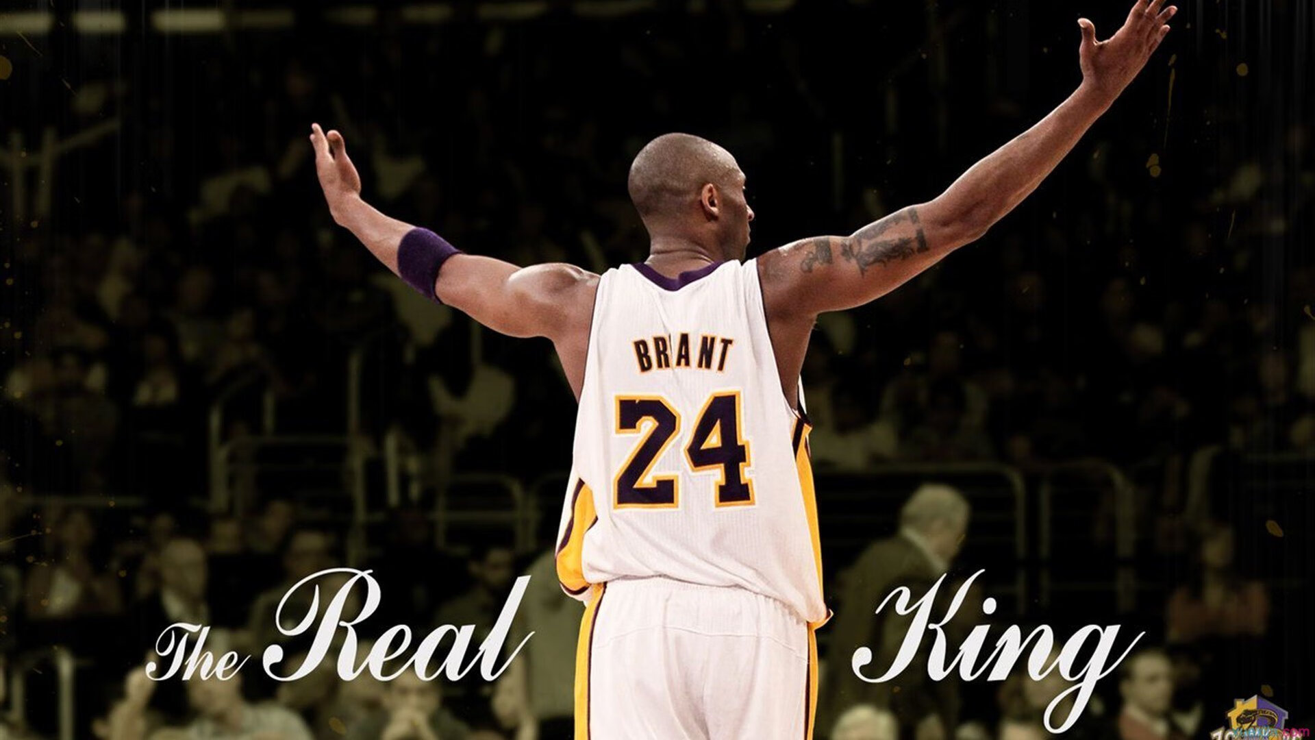 从温网梦碎到ATP总决赛逆转，蒂姆状态火热的涅槃之路